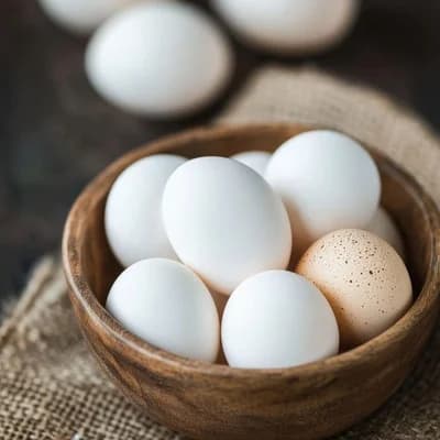 Egg